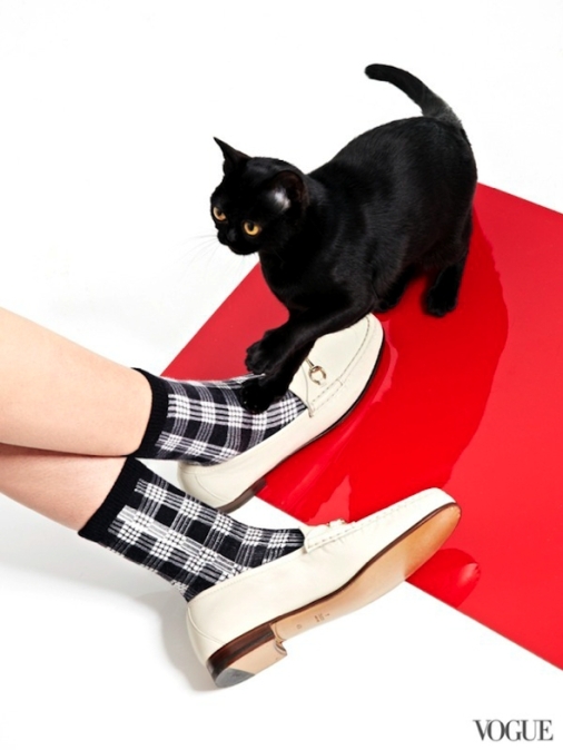 chats-chaussures-luxe-photographie-femme-vogue-11